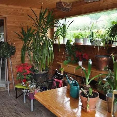 Lejlighed En Duplex Dans A Talloires-Montmin